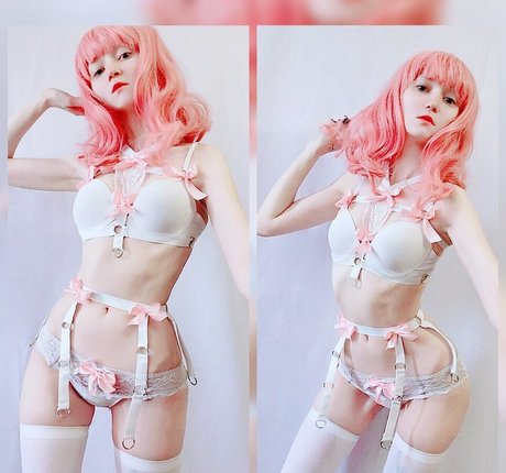 Erodaicon