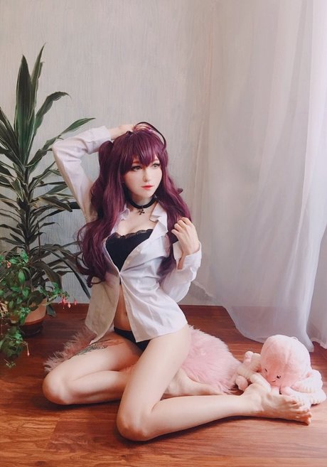 Erodaicon