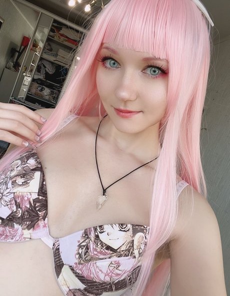Erodaicon