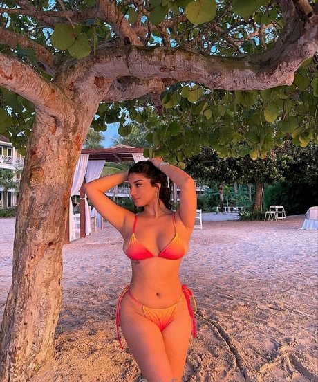 Обнаженная фотография утечки OnlyFans от Alishbasof