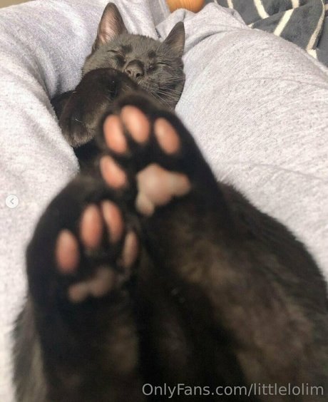 Naken läckt OnlyFans-bild av Littlelolim