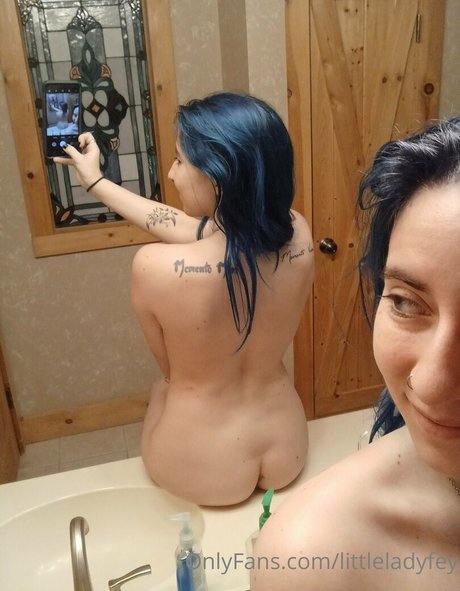 Littleladyfey