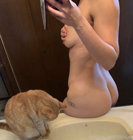 Whitesugarr