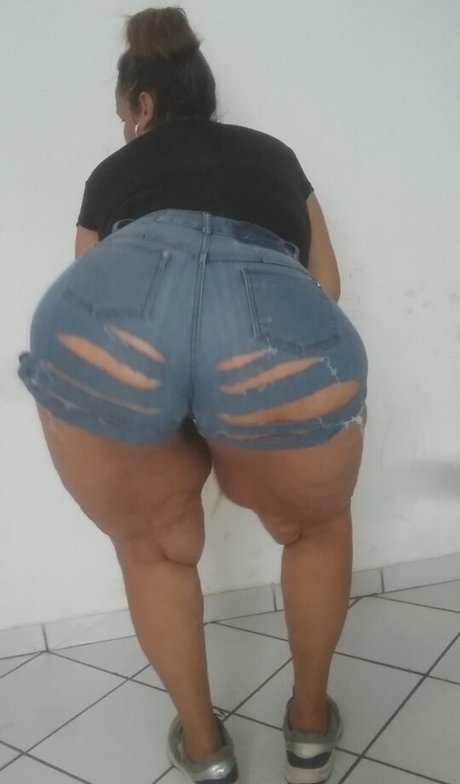 Panifat