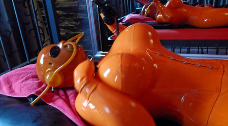 Rubberdollemma