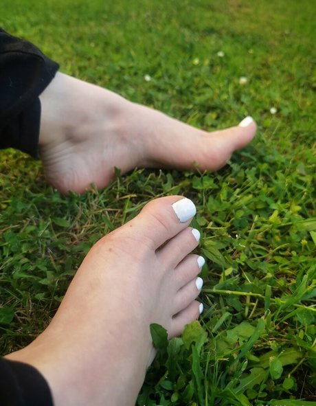 Msdidikvip