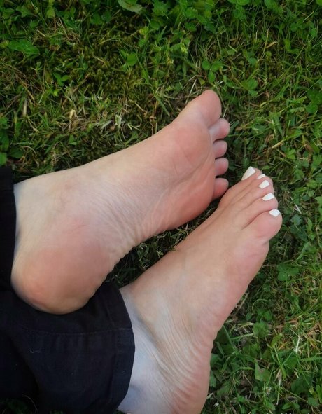 Msdidikvip