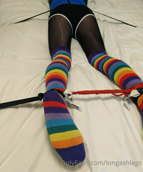 Longashlegs