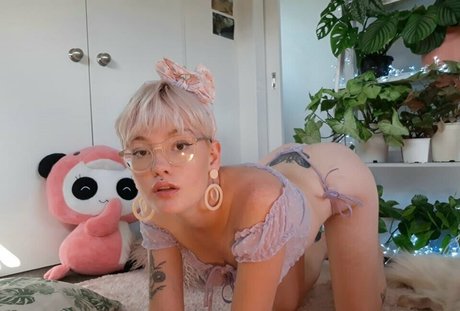 Charlibellaxfree