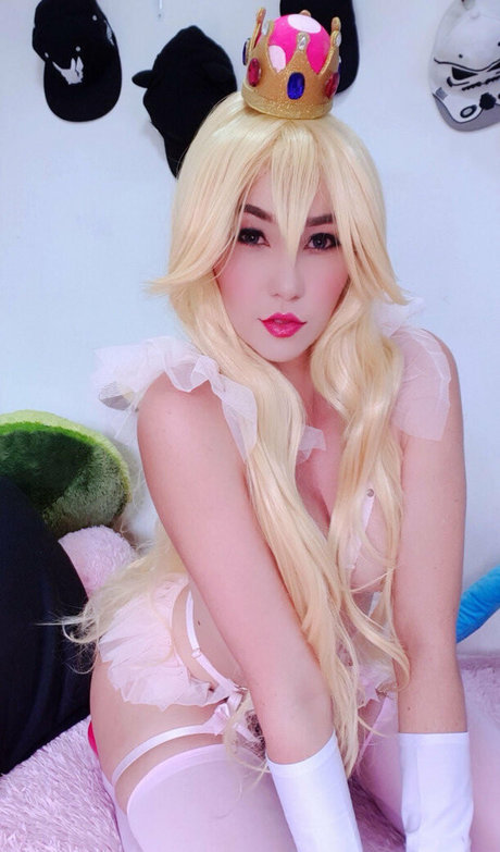 Hakicosmodel