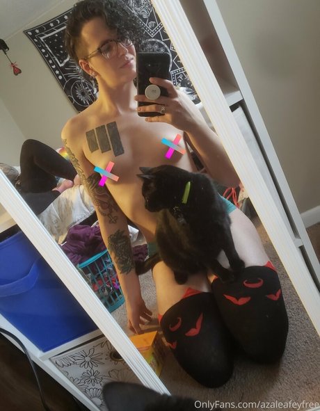 Azaleafeyfree