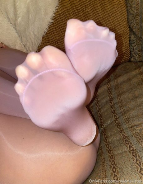 Nylonskitten
