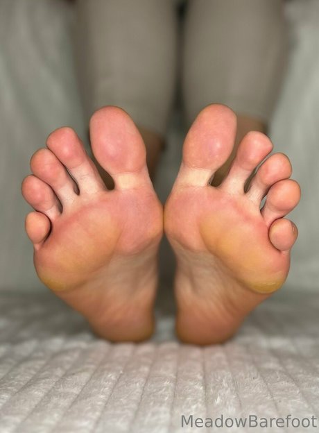 Naken läckt OnlyFans-bild av Meadowbarefoot