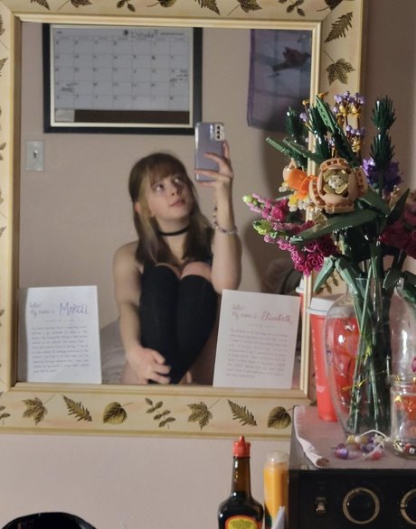 Dianalikesclowns