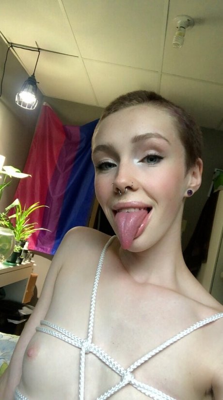 Lucysnow