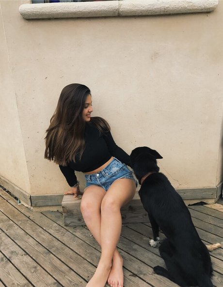Gal Haitin