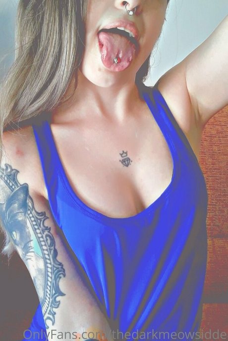 Thedarkmeowsidde