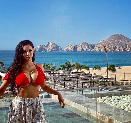 Tara Yazdi