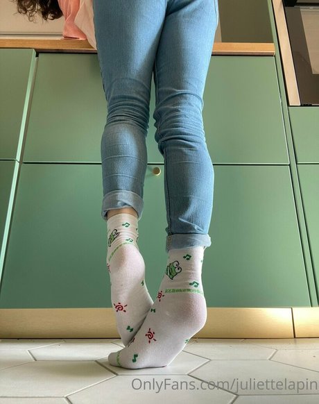 Juliettelapin
