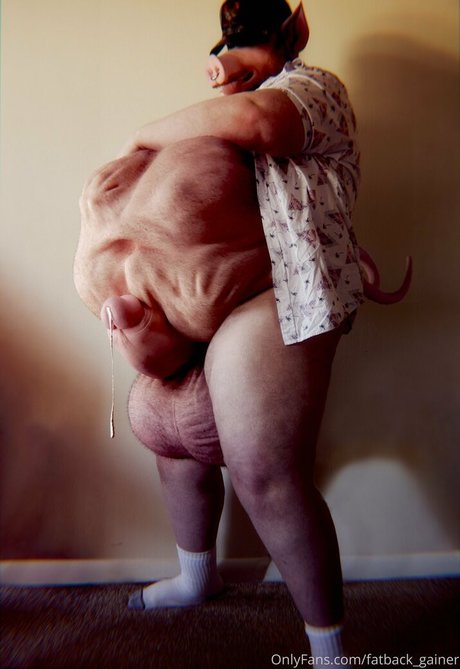 Fatbackgainer