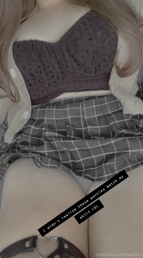 Lewdcesu