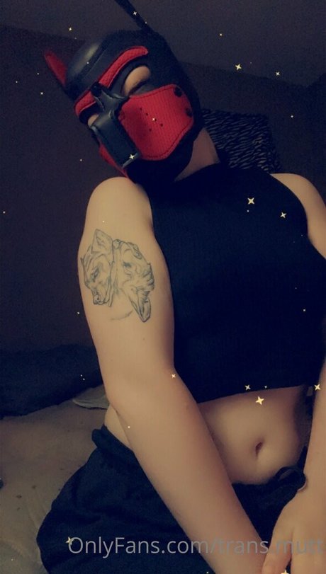 Transmutt
