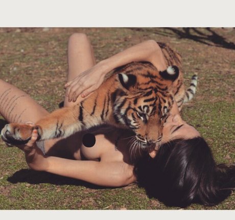Didem Dinc