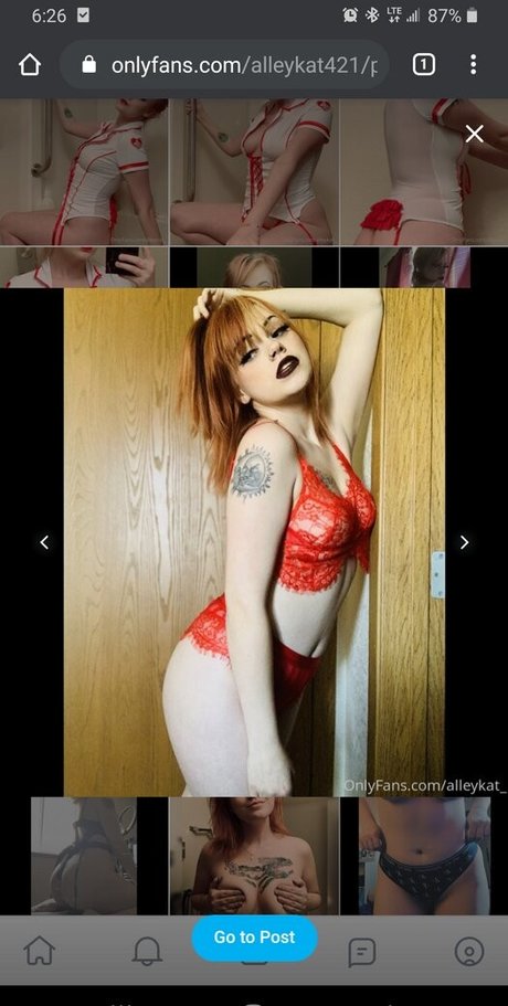 Alleykat421