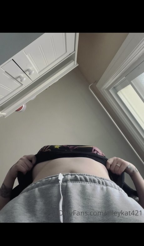 Alleykat421