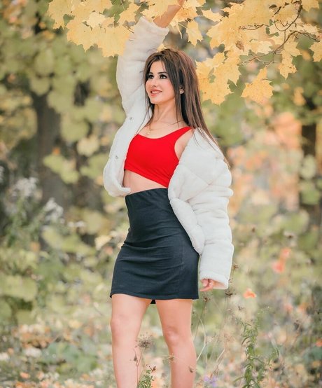Meetii Kalher