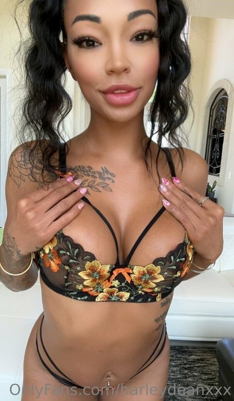 Harley Dean
