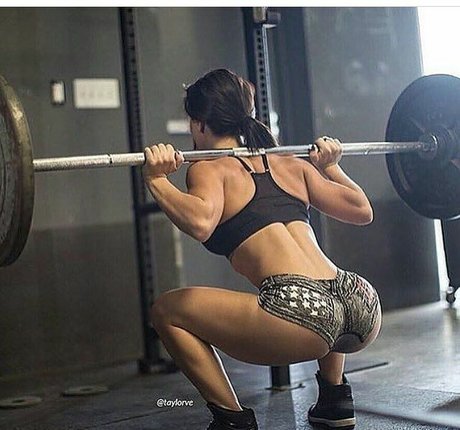 Taylor Vertucci