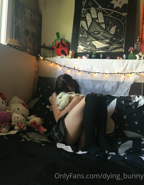 Dyingbunny