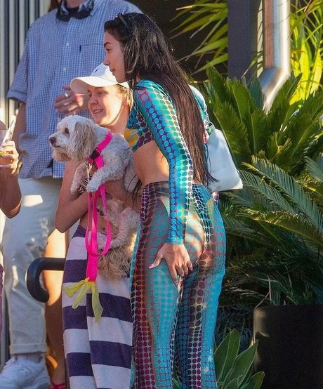 Dua Lipa