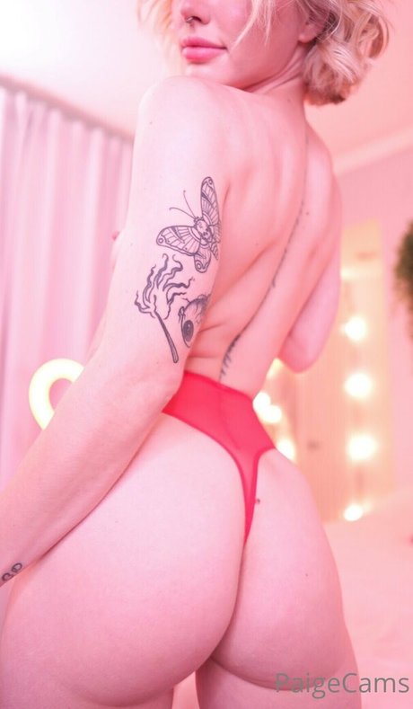 Paigecams