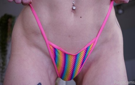 Paigecams