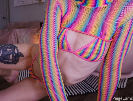 Paigecams