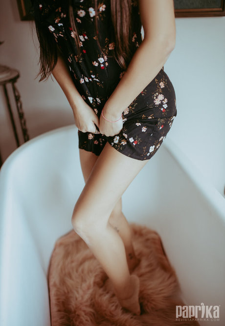 Alyne Lary