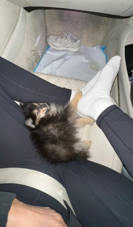 Sssniperwolf