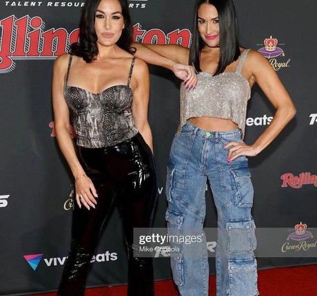 The Bella Twins: