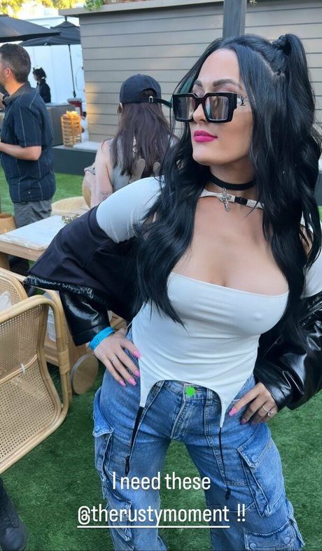The Bella Twins: