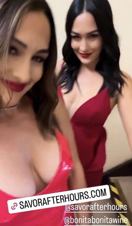 The Bella Twins: