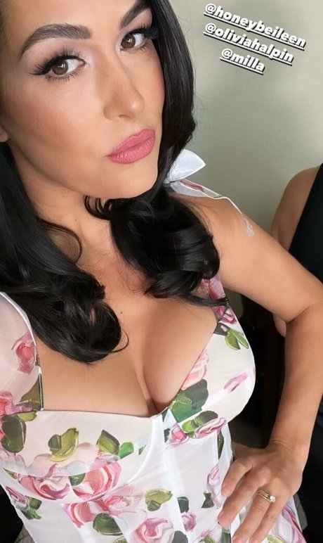 The Bella Twins: