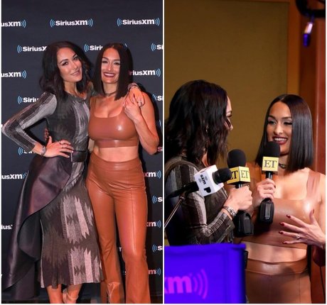 The Bella Twins: