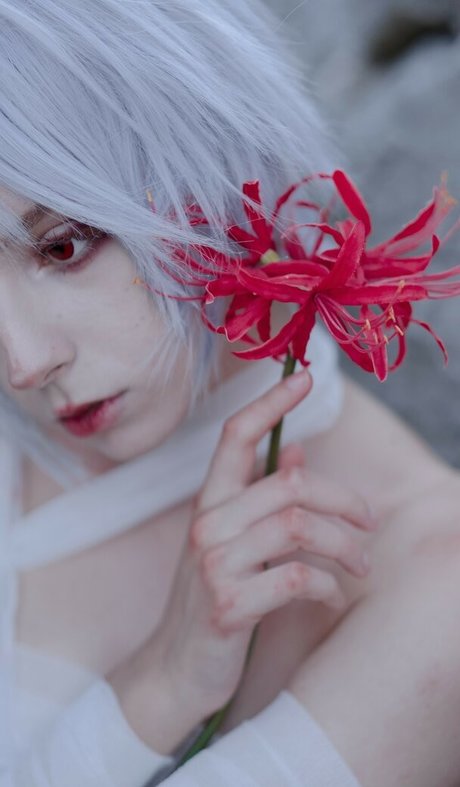 Himee.lily