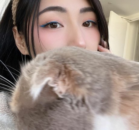 Xchocobars