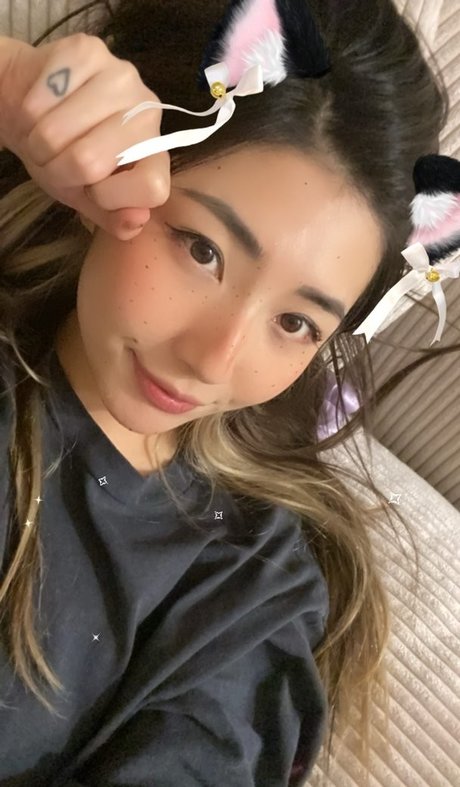 Xchocobars