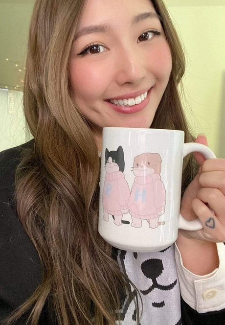 Xchocobars