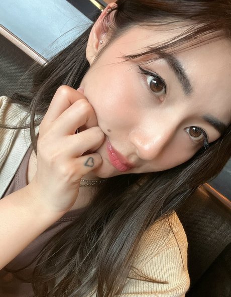 Xchocobars