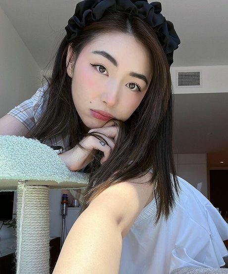 Xchocobars
